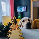 Przytulny *