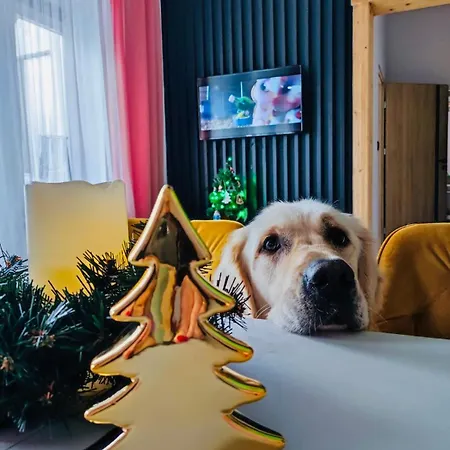 Przytulny *